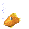 goldfish.gif (13139 bytes)